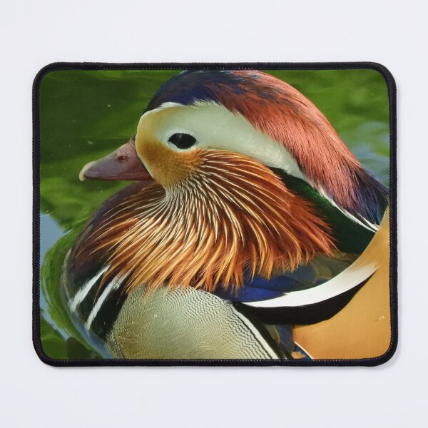 Item preview, Mandarin Duck designed and sold by SusiSu72.