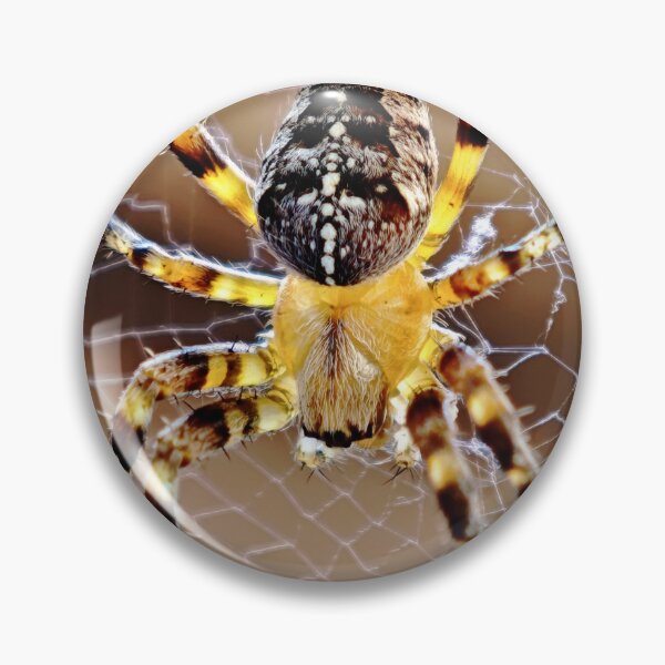 Item preview, Cross spider macro shot nature photography designed and sold by Ascooepics.