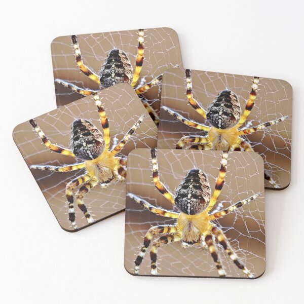 Item preview, Cross spider macro shot nature photography designed and sold by Ascooepics.