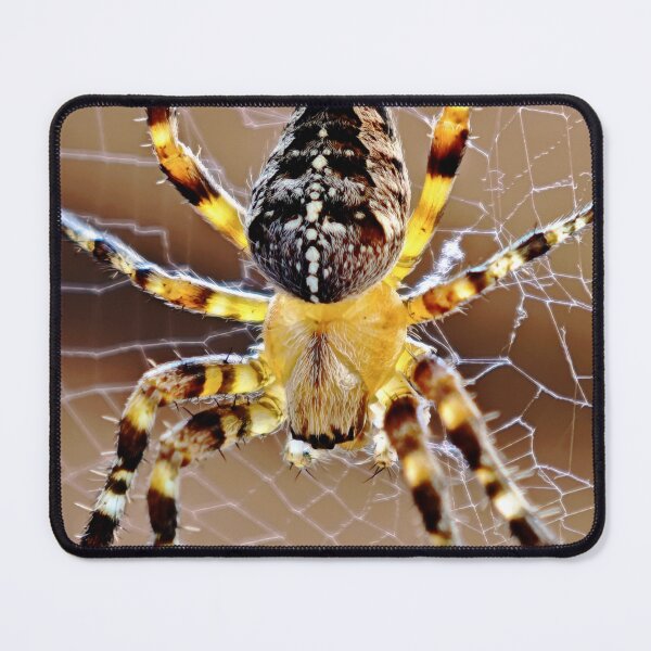 Item preview, Cross spider macro shot nature photography designed and sold by Ascooepics.