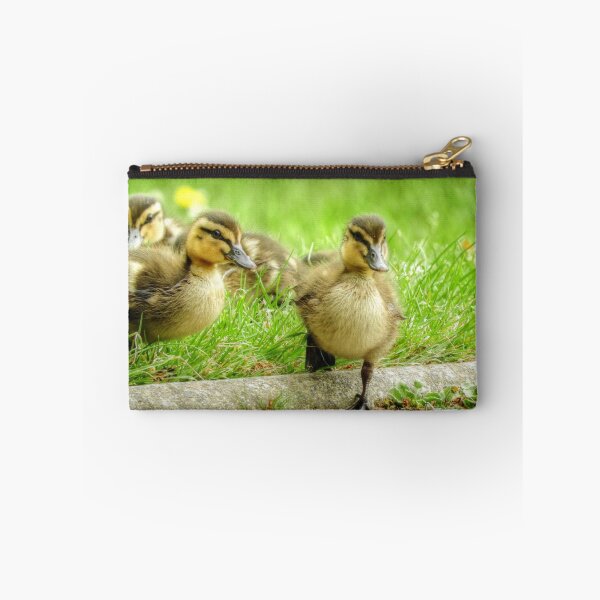 Item preview, Ducklings designed and sold by SusiSu72.