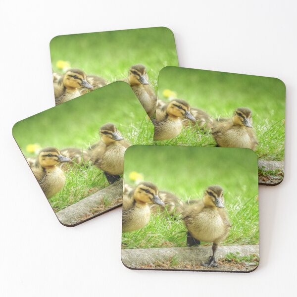 Item preview, Ducklings designed and sold by SusiSu72.