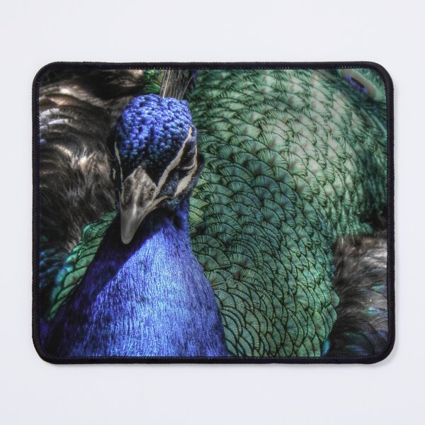 Item preview, Peacock designed and sold by SusiSu72.