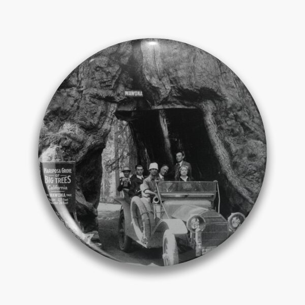 Item preview, 1918 the Wawona tree, Mariposa Grove, Yosemite Valley, California redwood and giant sequoia tree vintage black and white photograph designed and sold by Astrid Arkhangelsky.