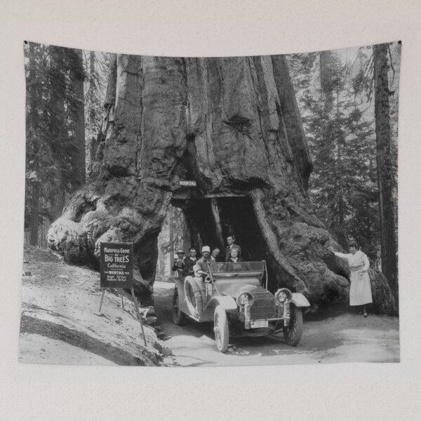 Item preview, 1918 the Wawona tree, Mariposa Grove, Yosemite Valley, California redwood and giant sequoia tree vintage black and white photograph designed and sold by Astrid Arkhangelsky.