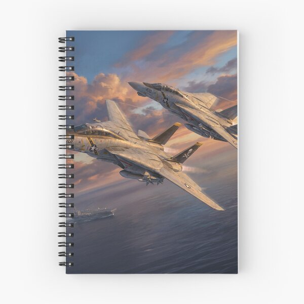 Item preview, F-14 Tomcats Carrier Fleet Sunset Illustration designed and sold by Airpower Art.