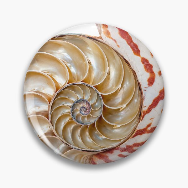 Item preview, Chambered Nautilus: Unbothered Since Forever designed and sold by Helt-enkelt.