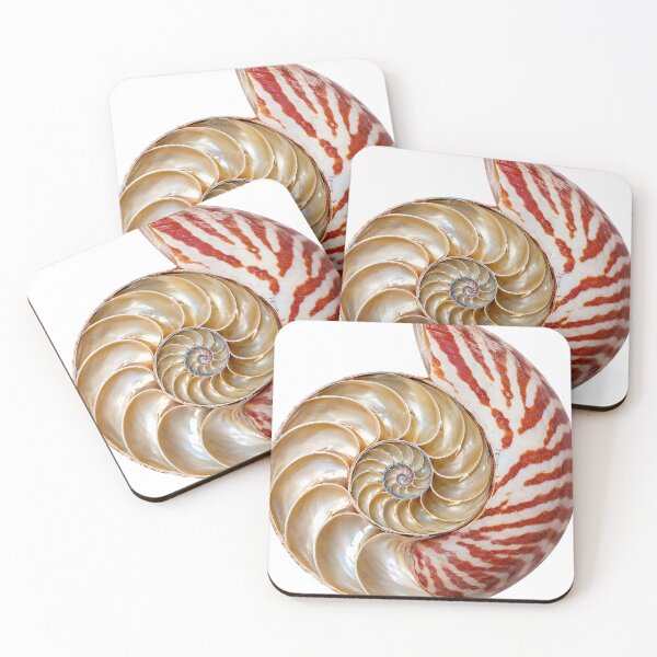 Item preview, Chambered Nautilus: Unbothered Since Forever designed and sold by Helt-enkelt.