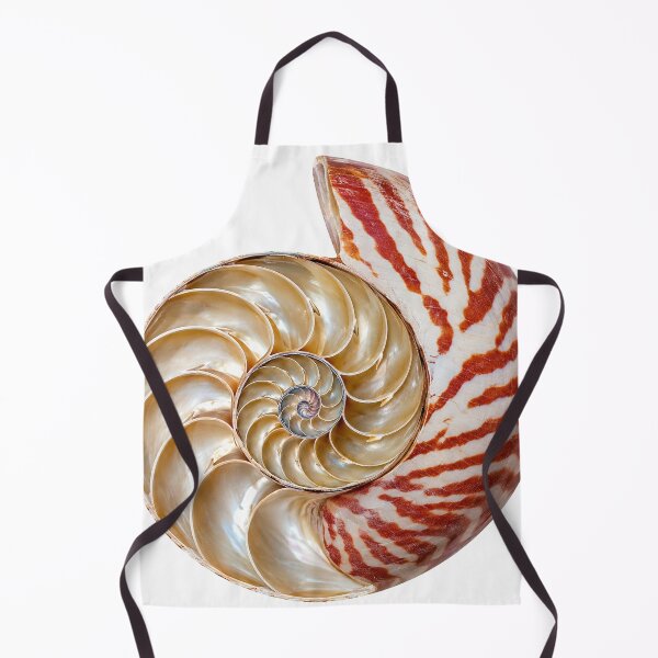 Item preview, Chambered Nautilus: Unbothered Since Forever designed and sold by Helt-enkelt.