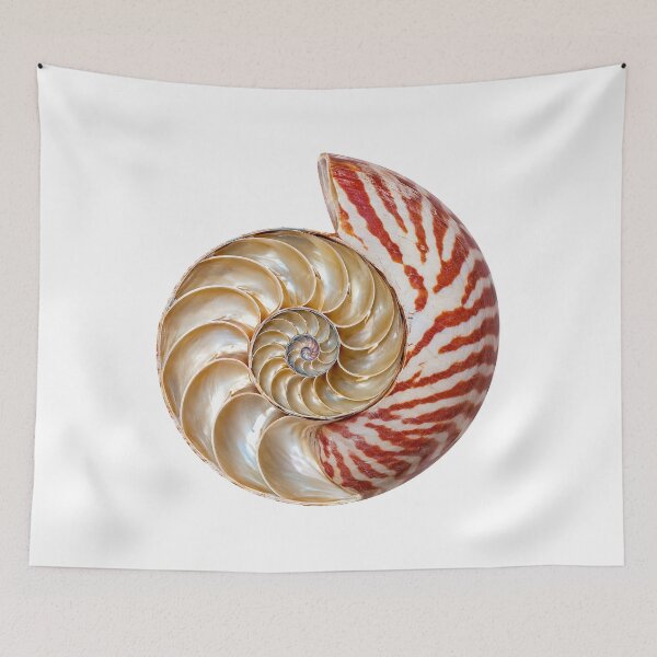 Item preview, Chambered Nautilus: Unbothered Since Forever designed and sold by Helt-enkelt.