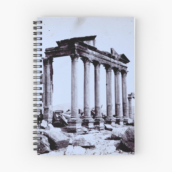 Item preview, Palmyra Antique Photograph designed and sold by WillowNox7.