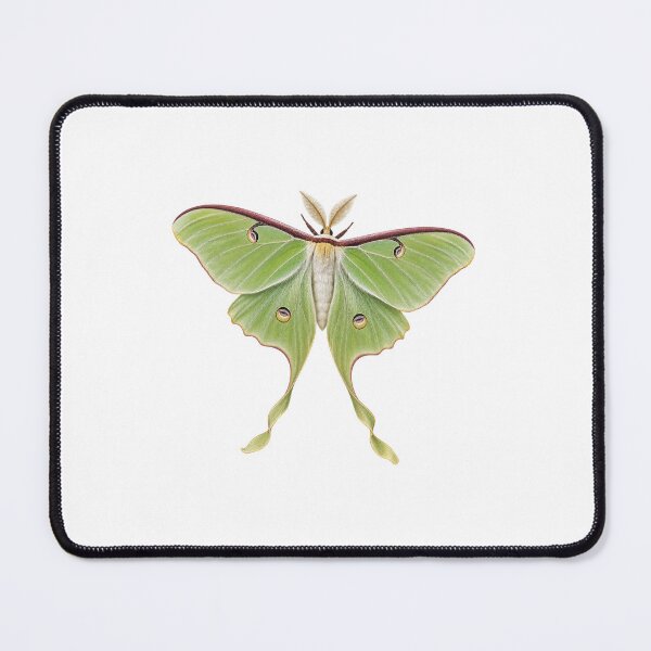 Item preview, Luna Moth - Realistic Nature Illustration designed and sold by Helt-enkelt.