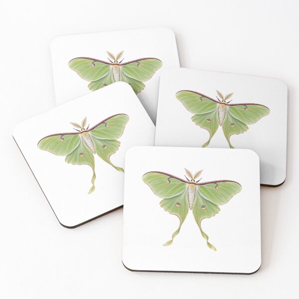 Item preview, Luna Moth - Realistic Nature Illustration designed and sold by Helt-enkelt.