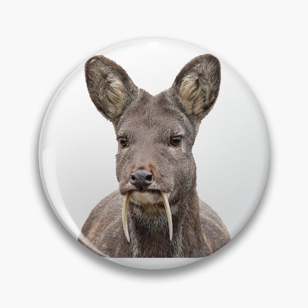Item preview, Siberian Musk Deer: Vampire Fangs, Zero Menace designed and sold by Helt-enkelt.