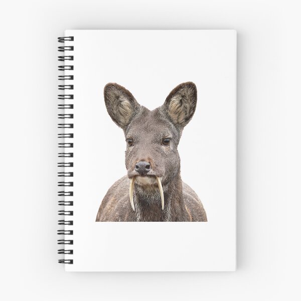 Item preview, Siberian Musk Deer: Vampire Fangs, Zero Menace designed and sold by Helt-enkelt.