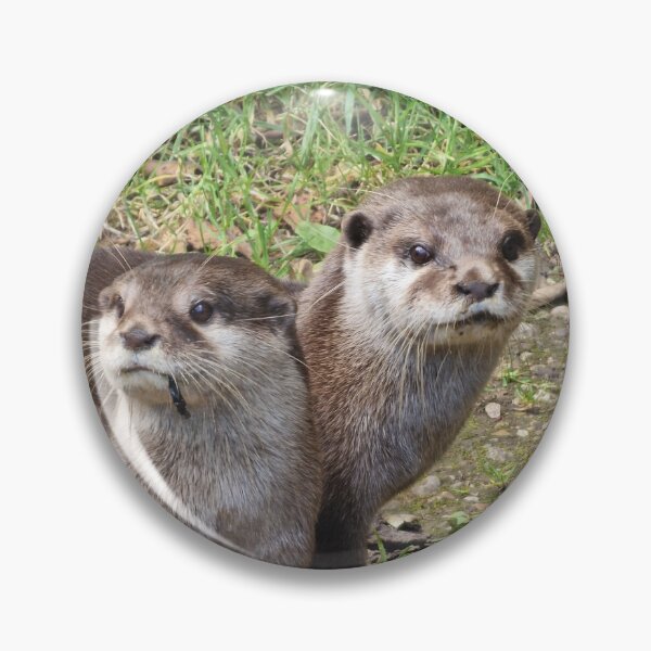 Item preview, Otter Couple designed and sold by CrystalDragon01.