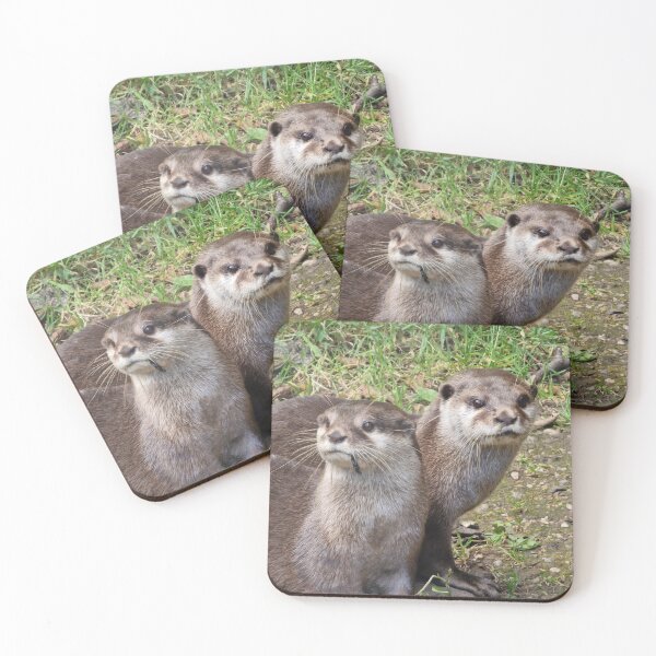 Item preview, Otter Couple designed and sold by CrystalDragon01.