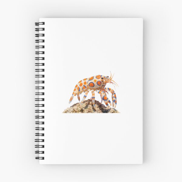 Item preview, Harlequin Shrimp: Cute Face, Starfish Nightmare designed and sold by Helt-enkelt.