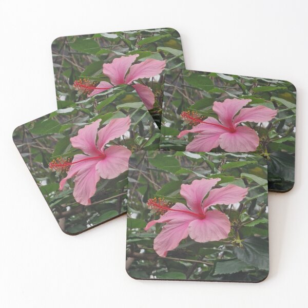 Item preview, Pink Hibiscus designed and sold by CrystalDragon01.