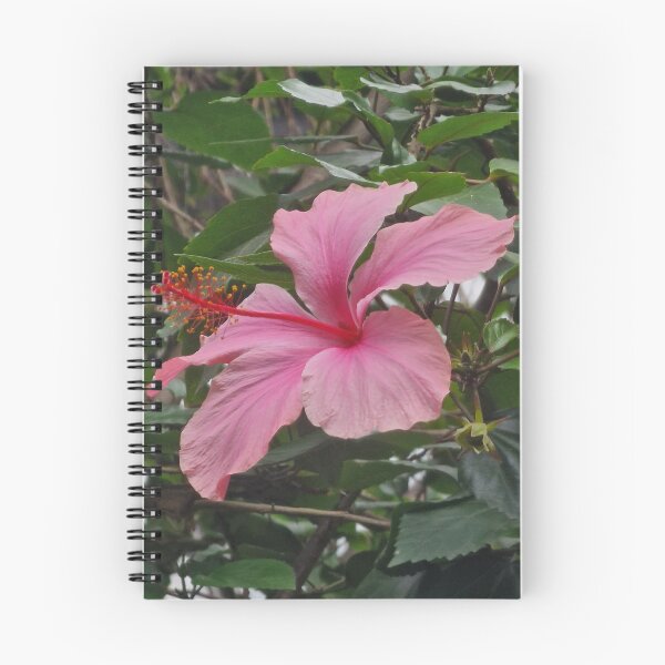 Item preview, Pink Hibiscus designed and sold by CrystalDragon01.