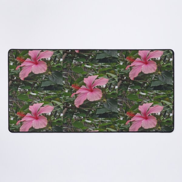 Item preview, Pink Hibiscus designed and sold by CrystalDragon01.