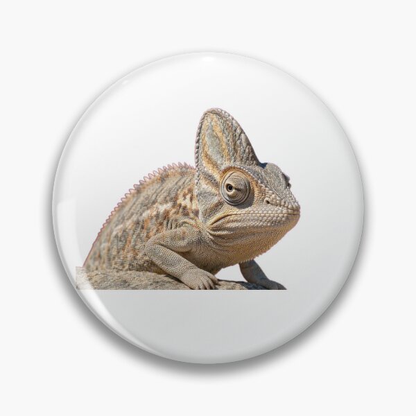 Item preview, Namaqua Chameleon Mastering the Art of Camouflage designed and sold by Helt-enkelt.