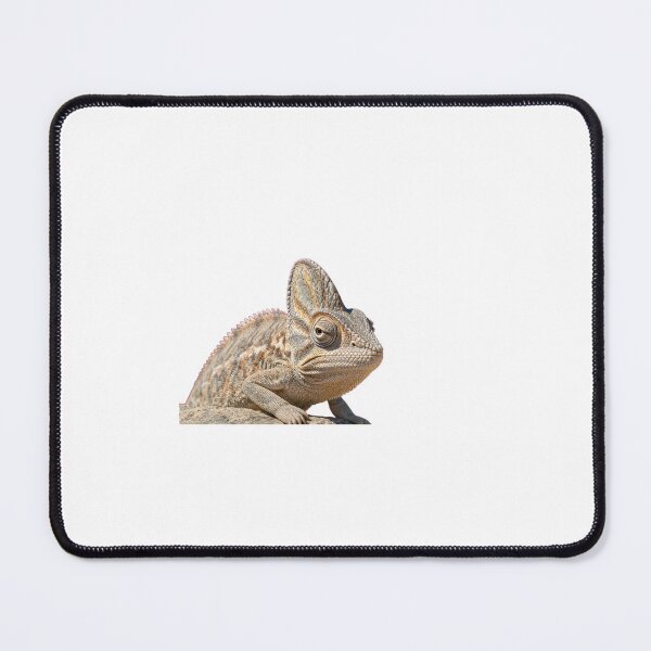 Item preview, Namaqua Chameleon Mastering the Art of Camouflage designed and sold by Helt-enkelt.