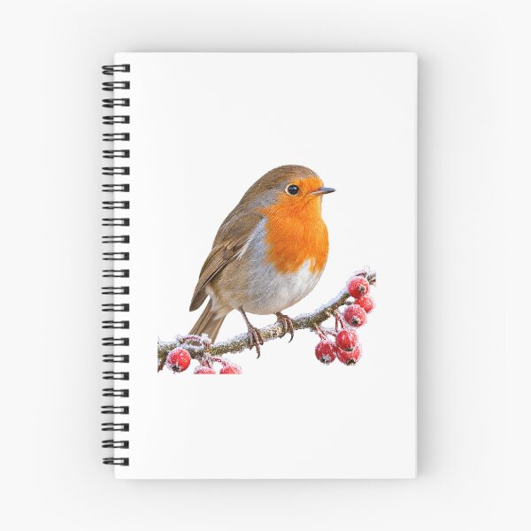 Item preview, European Robin Judging You From a Frosty Branch designed and sold by Helt-enkelt.