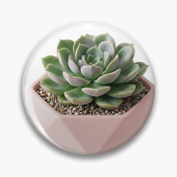 Item preview, 3D Minimalist Geometric Succulent Plant designed and sold by meghnad.