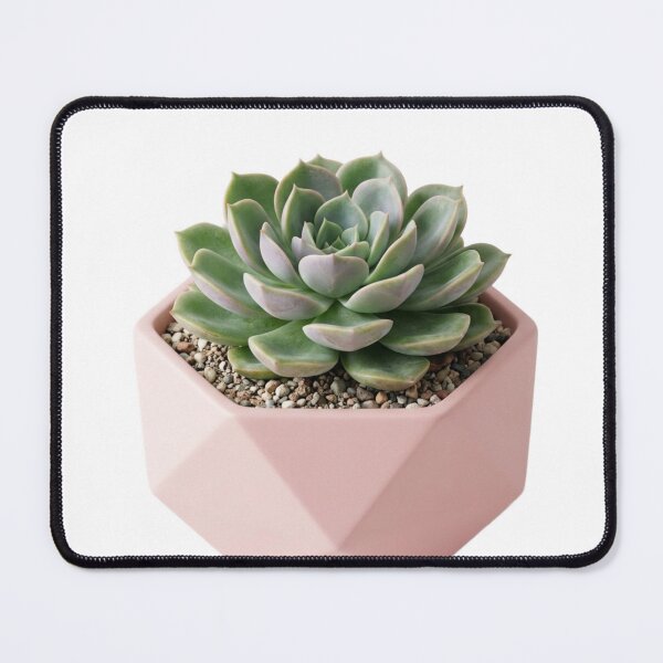 Item preview, 3D Minimalist Geometric Succulent Plant designed and sold by meghnad.
