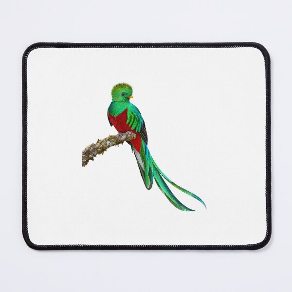 Item preview, Resplendent Quetzal – Vivid Cloud Forest Portrait designed and sold by Helt-enkelt.