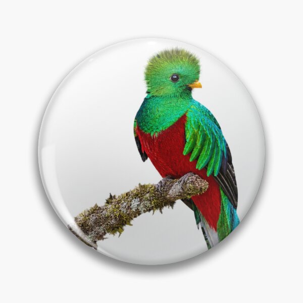 Item preview, Resplendent Quetzal – Vivid Cloud Forest Portrait designed and sold by Helt-enkelt.