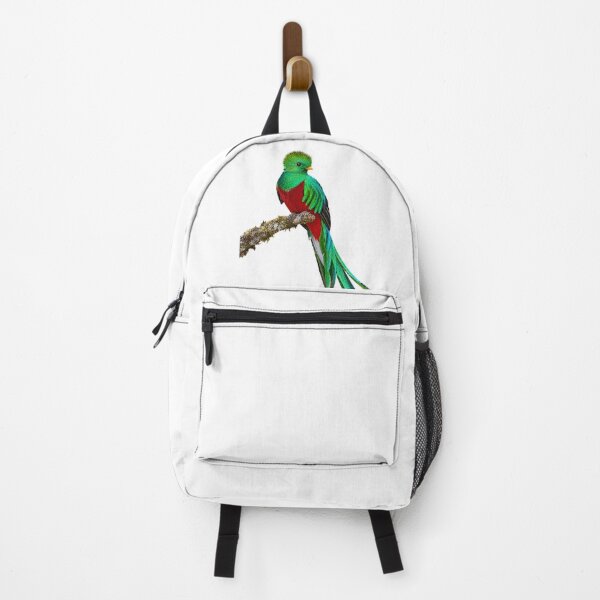 Item preview, Resplendent Quetzal – Vivid Cloud Forest Portrait designed and sold by Helt-enkelt.