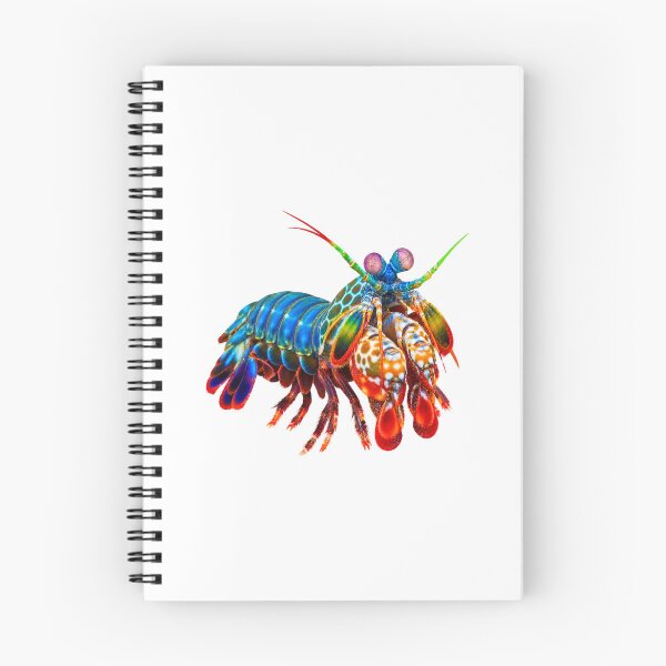 Item preview, Peacock Mantis Shrimp – Vivid Reef Portrait designed and sold by Helt-enkelt.