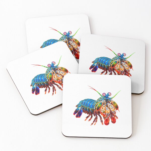 Item preview, Peacock Mantis Shrimp – Vivid Reef Portrait designed and sold by Helt-enkelt.