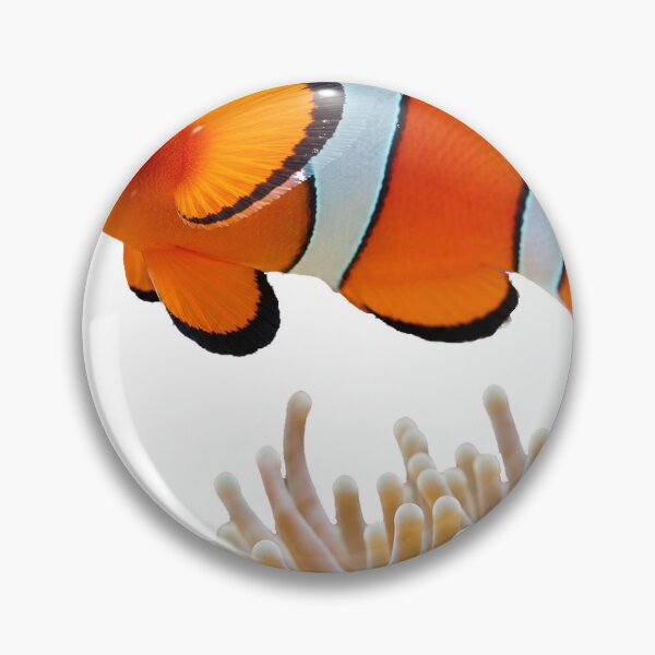 Item preview, Clownfish – Vibrant Coral Reef Portrait designed and sold by Helt-enkelt.