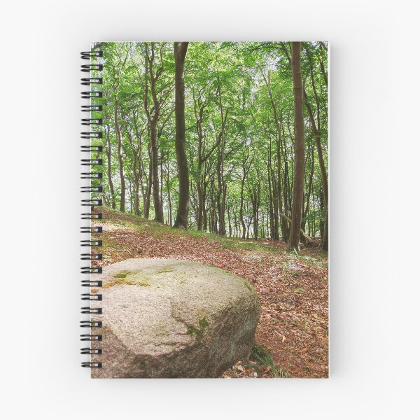 Item preview, Erratic boulder, Jasmund National Park designed and sold by Cosmic Landscapes.
