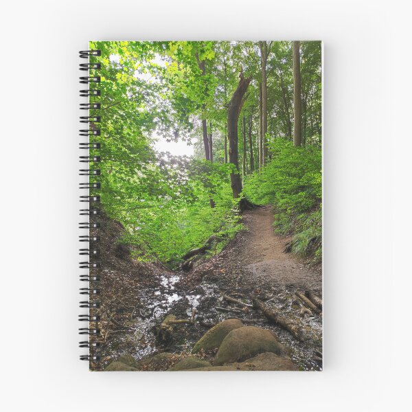 Item preview, Stream Jasmund National Park designed and sold by Cosmic Landscapes.
