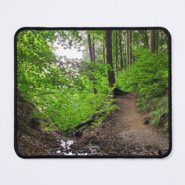 Item preview, Stream Jasmund National Park designed and sold by Cosmic Landscapes.
