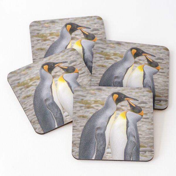 Item preview, Pair of King Penguins South Georgia Island designed and sold by PhotoArt by Joan Carroll.