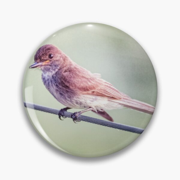 Item preview, Eastern Phoebe designed and sold by PhotoArt by Joan Carroll.