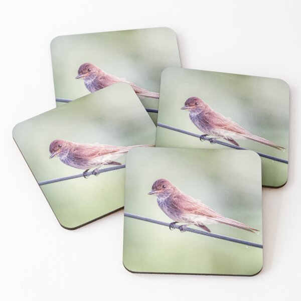Item preview, Eastern Phoebe designed and sold by PhotoArt by Joan Carroll.