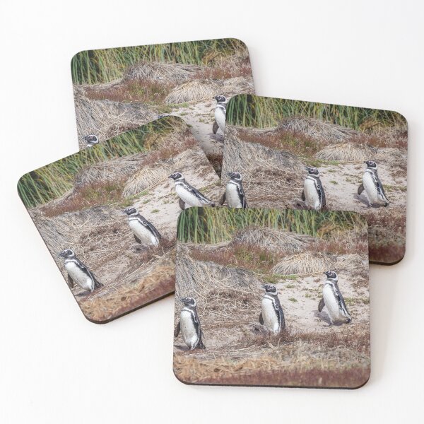 Item preview, Magellanic Penguins on the Falklands designed and sold by PhotoArt by Joan Carroll.