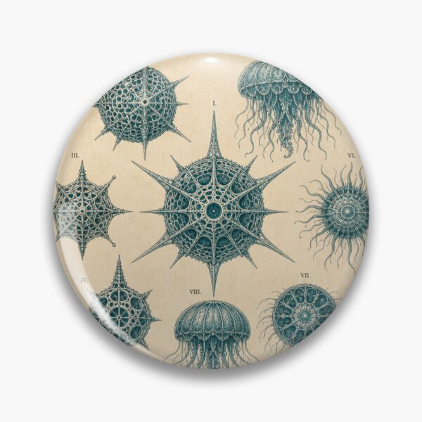 Item preview, Thalassaea Abyssorum — Vintage Deep Sea Radiolaria & Jellyfish Specimen Chart designed and sold by tonyram4219.