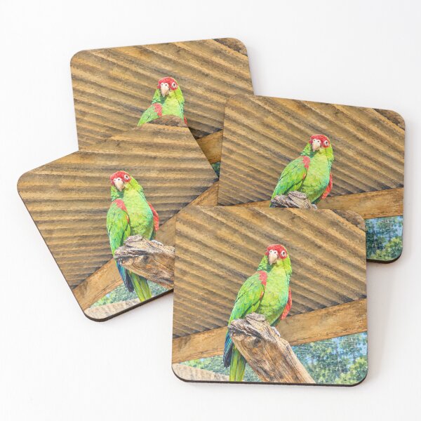 Item preview, Green macaw designed and sold by Carol-arts-.