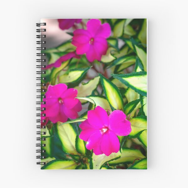 Item preview,  Pink Impatiens Plants  1 designed and sold by RichFrancoCars.