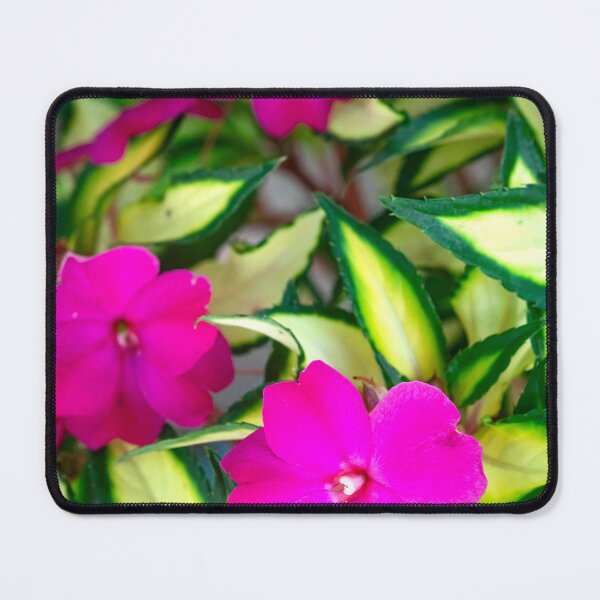 Item preview, Pink Impatiens Plants 1 designed and sold by RichFrancoCars.
