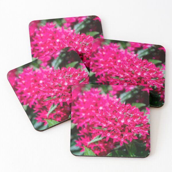 Item preview,  Red Pentas Egyptian Star Clusters Flowers designed and sold by RichFrancoCars.