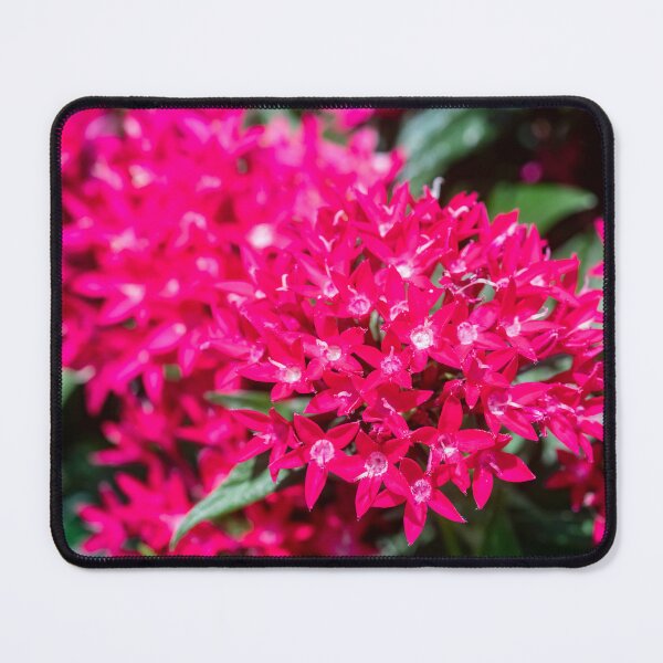 Item preview,  Red Pentas Egyptian Star Clusters Flowers designed and sold by RichFrancoCars.