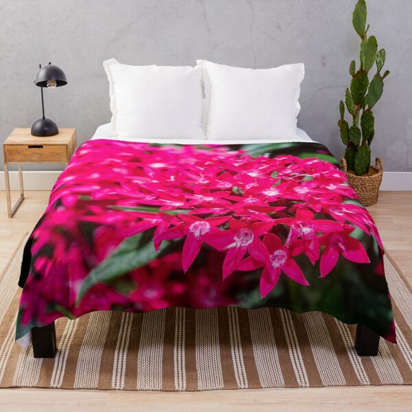 Item preview, Flores de racimos de estrellas egipcias Pentas rojas designed and sold by RichFrancoCars.